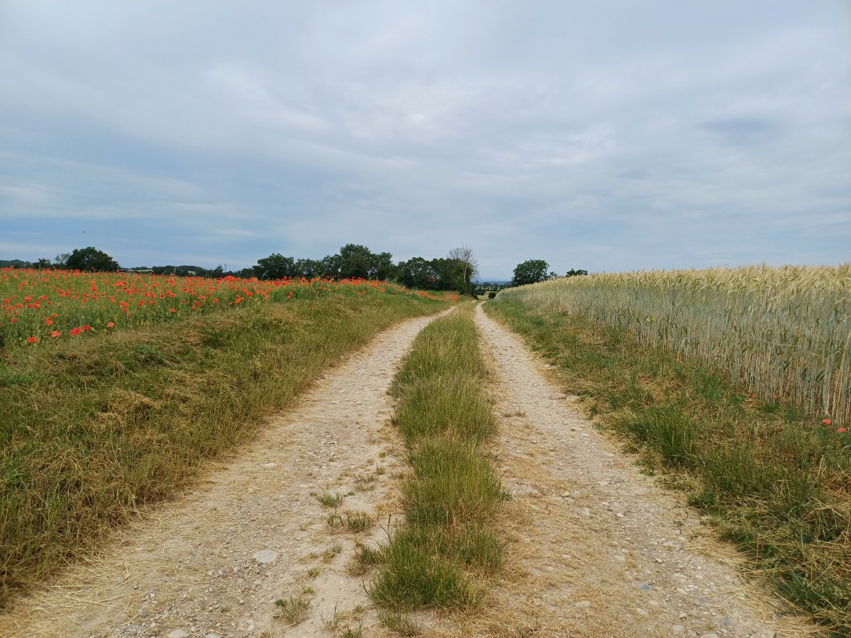 Parcours MONTR'AIL & TRAIL DES 2 CHÂTEAUX 2025