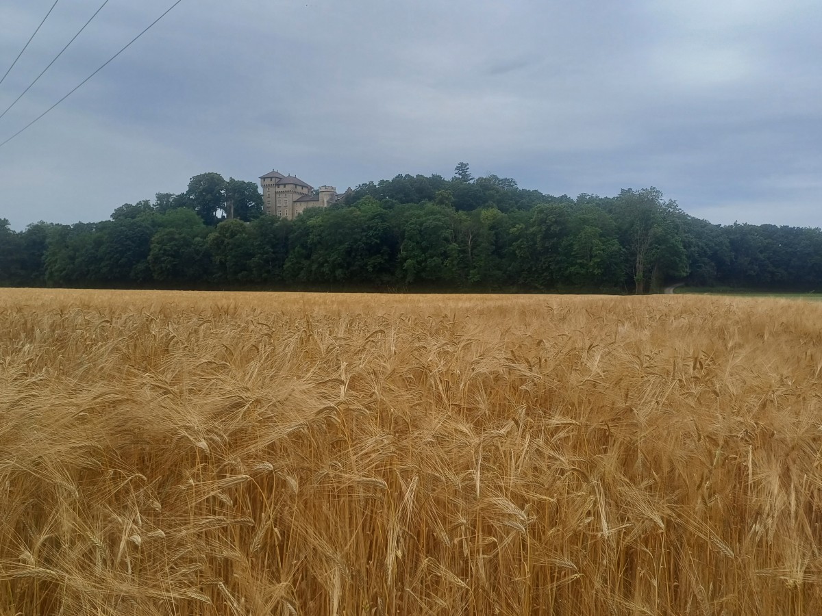 Parcours MONTR'AIL & TRAIL DES 2 CHÂTEAUX 2025